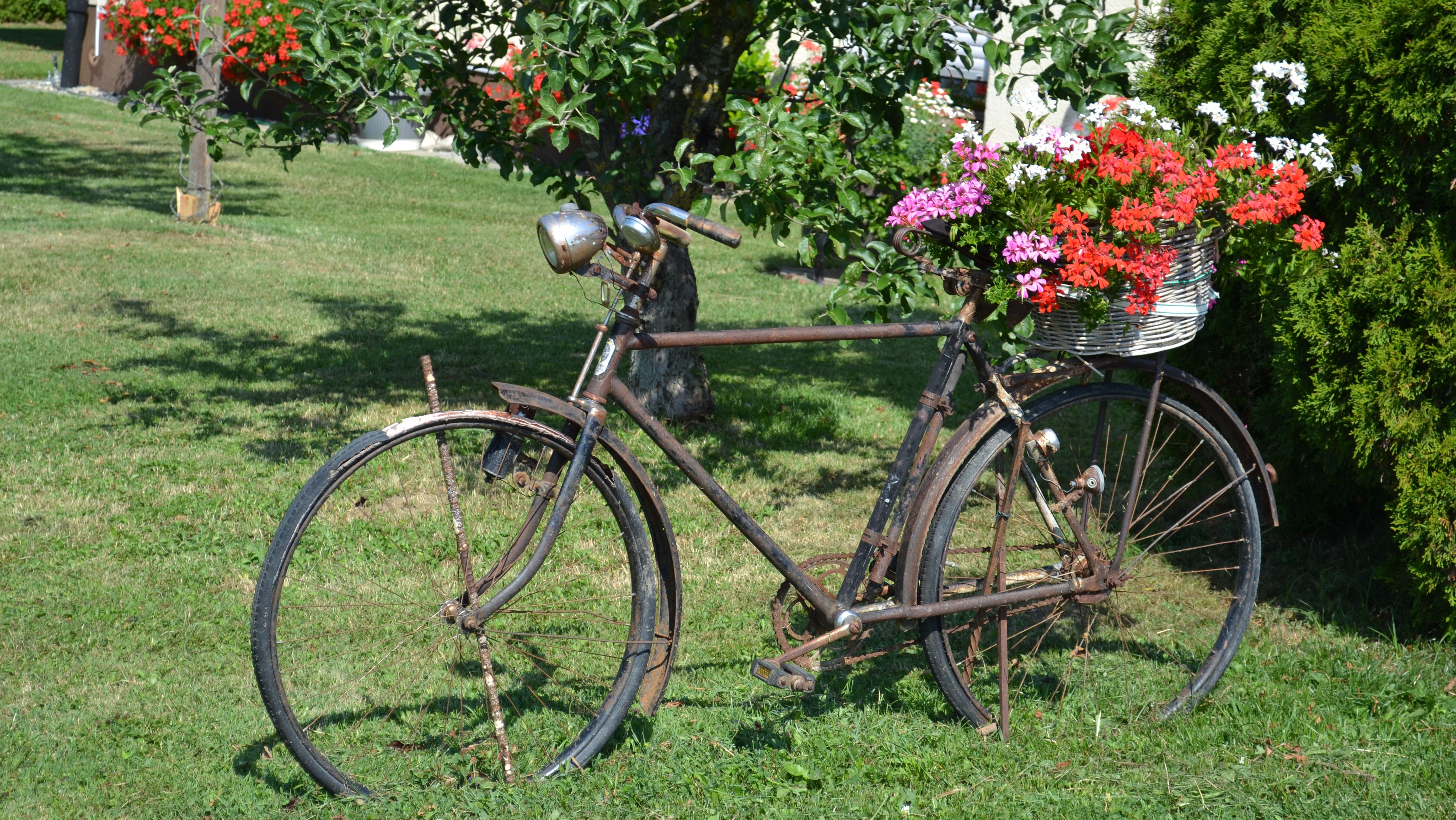  Fahrrad mit Blumen 